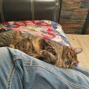 Meet your Posher, Josh